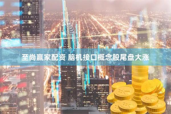 至尚赢家配资 脑机接口概念股尾盘大涨