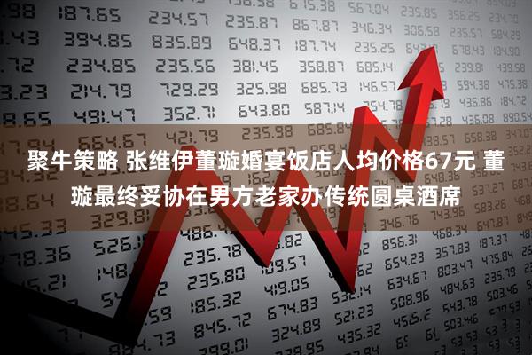 聚牛策略 张维伊董璇婚宴饭店人均价格67元 董璇最终妥协在男方老家办传统圆桌酒席