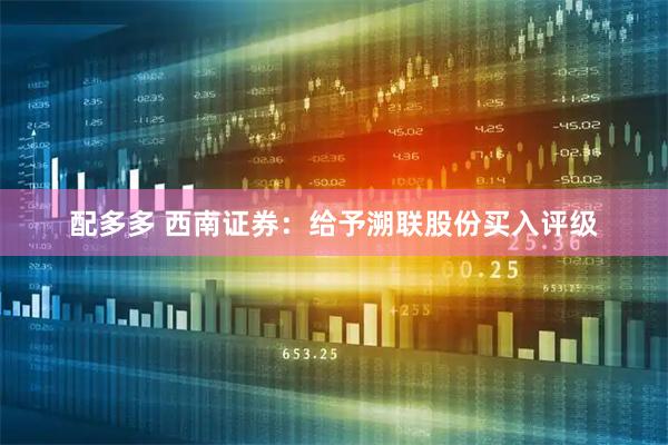 配多多 西南证券：给予溯联股份买入评级