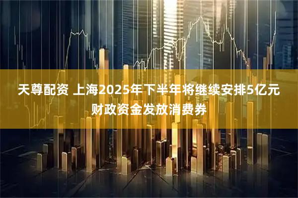 天尊配资 上海2025年下半年将继续安排5亿元财政资金发放消费券